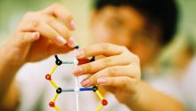 Can Christians Believe in Evolution?