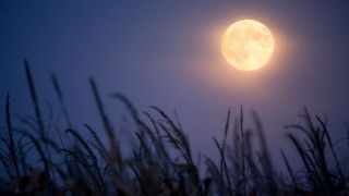 Colossians 2:16-17: Did Paul Abolish the Law?