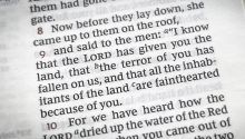 Rahab the Harlot (Joshua 2:9)