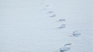 Walk as He Walked